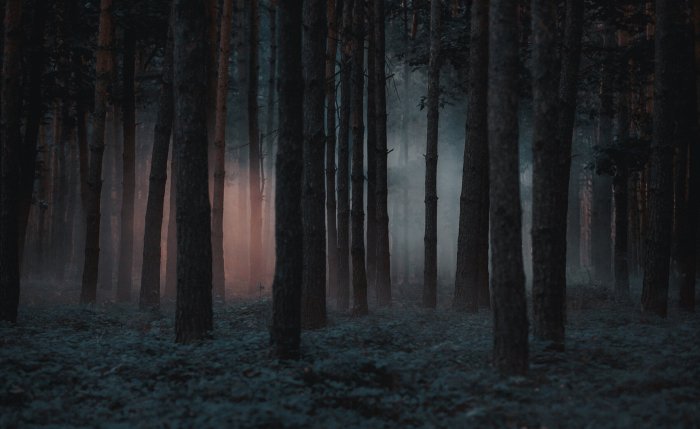 Consortium for Dark Sky Studies – @theU